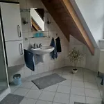 Апартаменты Metzner Harnsbach