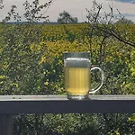 Metzner Harnsbach Апартаменты