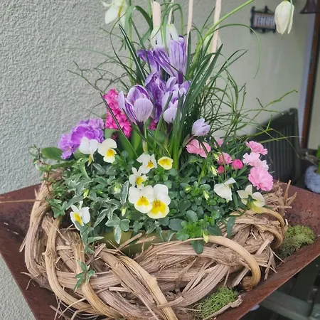 Metzner Harnsbach Appartement